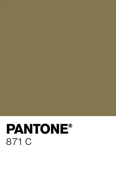 Pantone 871 C colour chip