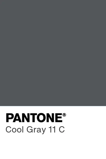 Pantone Cool Gray 11 C colour chip