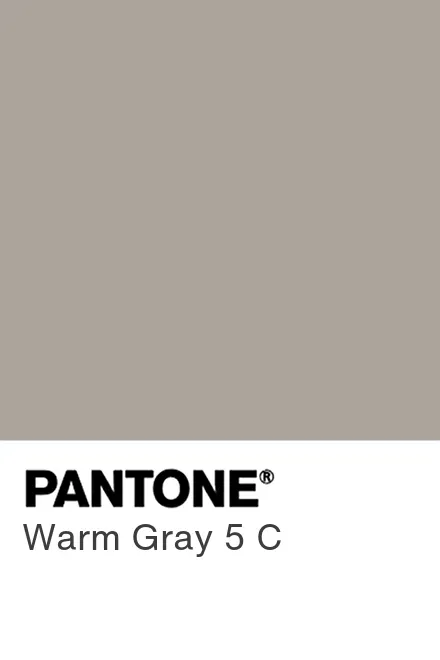 Pantone Warm Gray 5 C colour chip